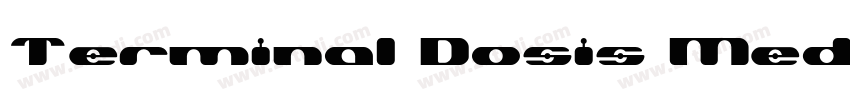 Terminal Dosis Medi字体转换